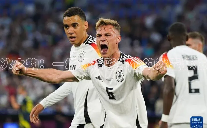 冰之韵：一场场精彩绝伦的冰壶竞技