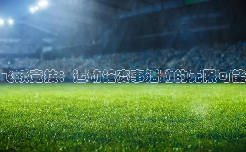 飞跃竞技：运动馆赛事活动的无限可能