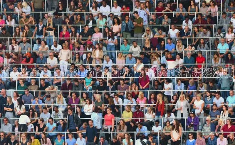 逐梦绿茵：安徽运动会在即，足球盛会的精彩预演