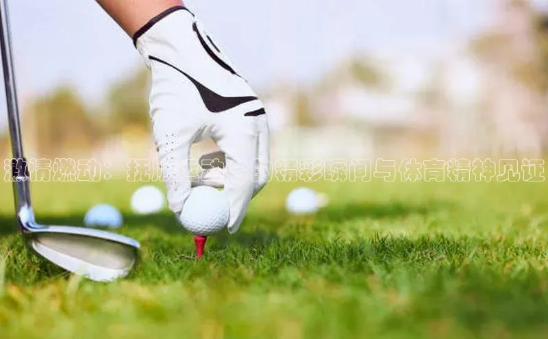 激情燃动：抚顺运动会的精彩瞬间与体育精神见证