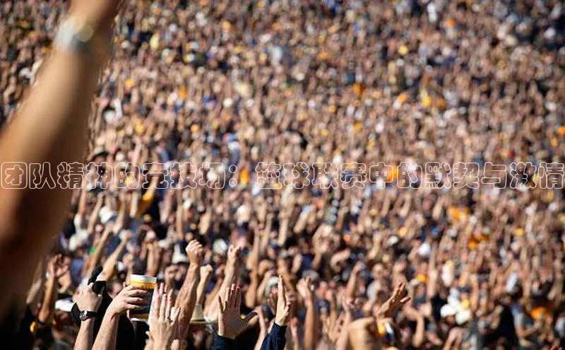 团队精神的竞技场：篮球联赛中的默契与激情