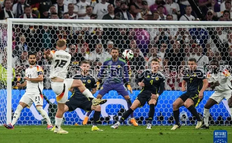 自然极限：定向运动野外赛事图与挑战