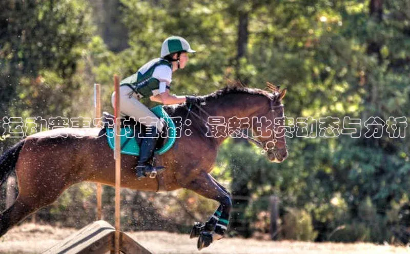 运动赛事实时直播：最新比赛动态与分析