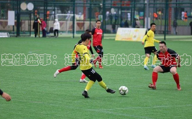 楚雄盛事：运动赛事的魅力与活力