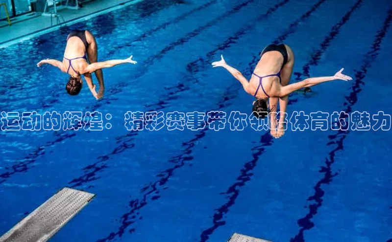 运动的辉煌：精彩赛事带你领略体育的魅力
