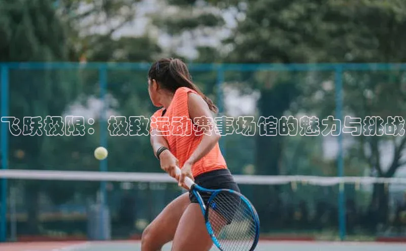 飞跃极限：极致运动赛事场馆的魅力与挑战