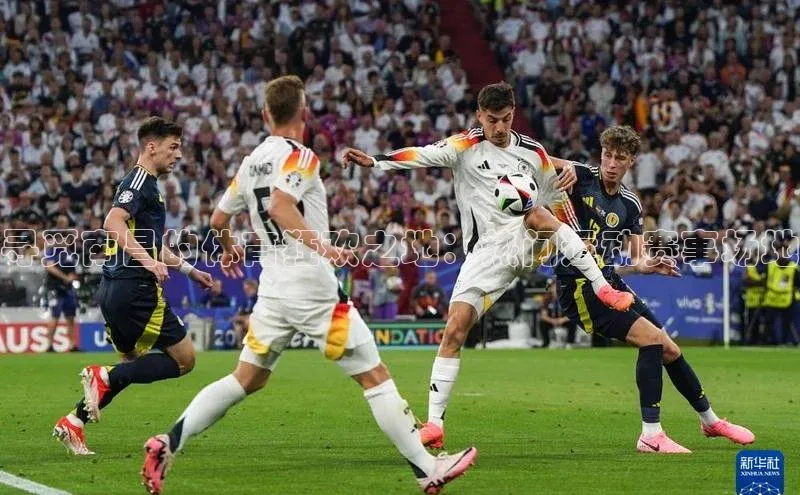 寻觅南昌的体育狂欢之地：热门运动赛事场地