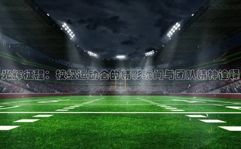 光辉征程：校级运动会的精彩瞬间与团队精神诠释