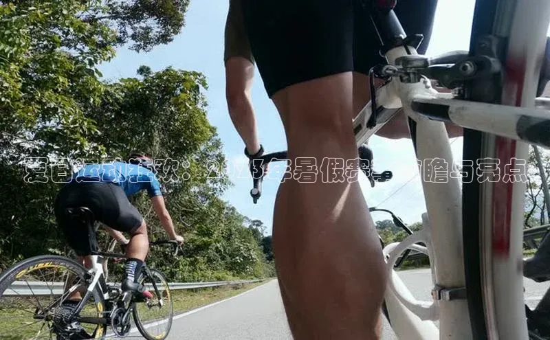 夏日运动狂欢：2023年暑假赛事前瞻与亮点