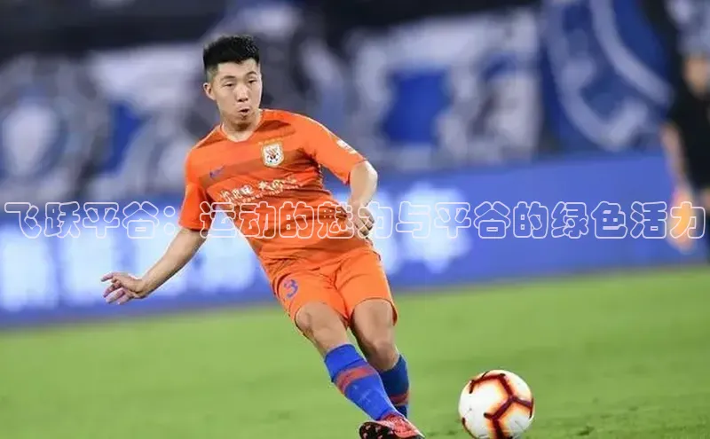 飞跃平谷：运动的魅力与平谷的绿色活力