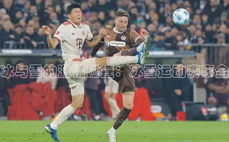 冰与雪的激情碰撞：冰雪运动赛事全