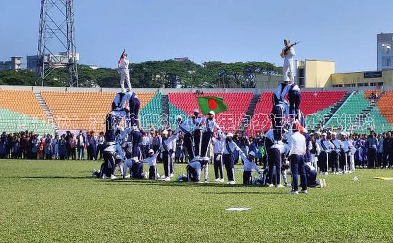 绿动心：淄博市庆祝2023年跑步运动盛事概览