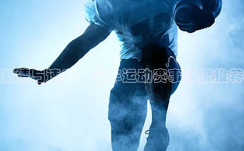 激情与速度：汽车运动赛事深度推荐